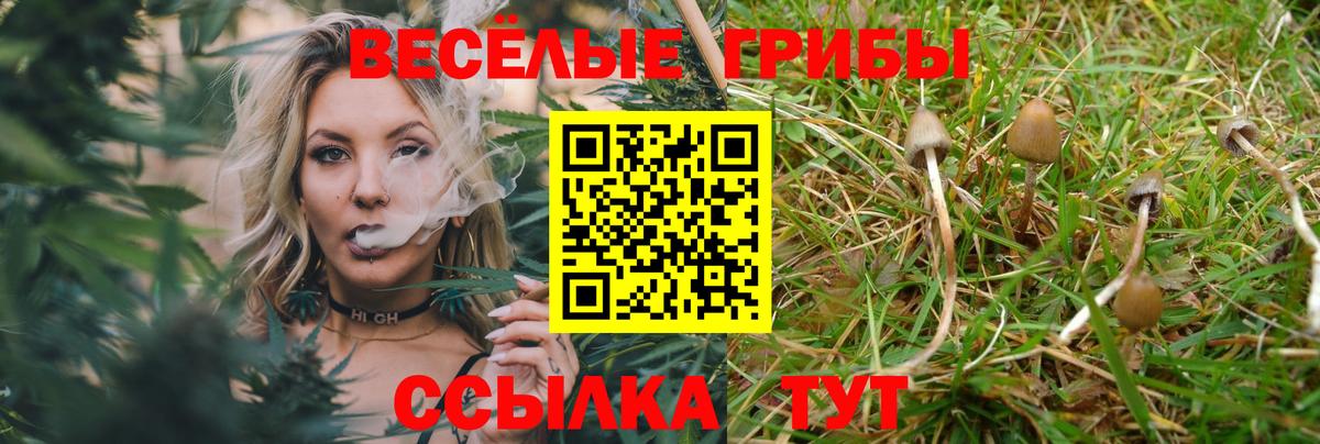 Волжский  Галлюциногенные грибы MAGIC MUSHROOMS  Вход с VPN 
